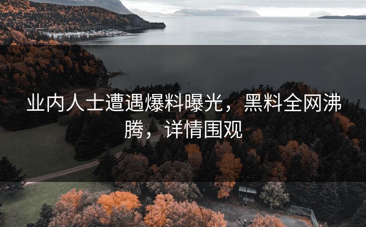 业内人士遭遇爆料曝光，黑料全网沸腾，详情围观