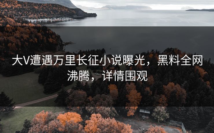 大V遭遇万里长征小说曝光，黑料全网沸腾，详情围观  第1张