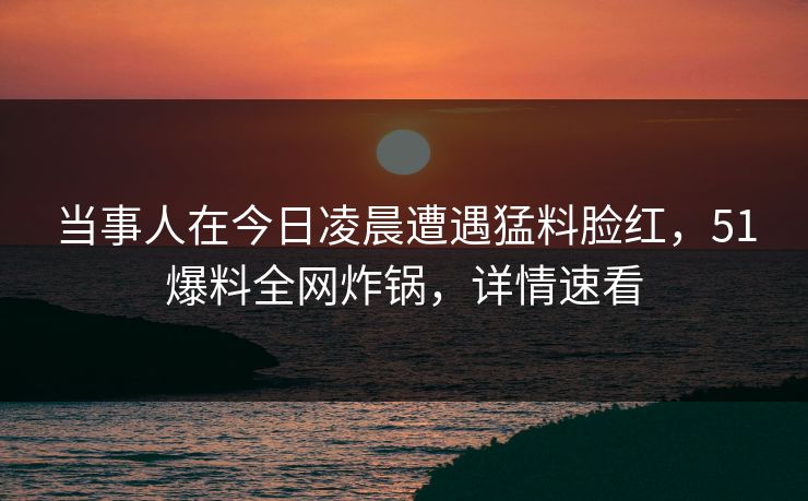 当事人在今日凌晨遭遇猛料脸红，51爆料全网炸锅，详情速看  第1张