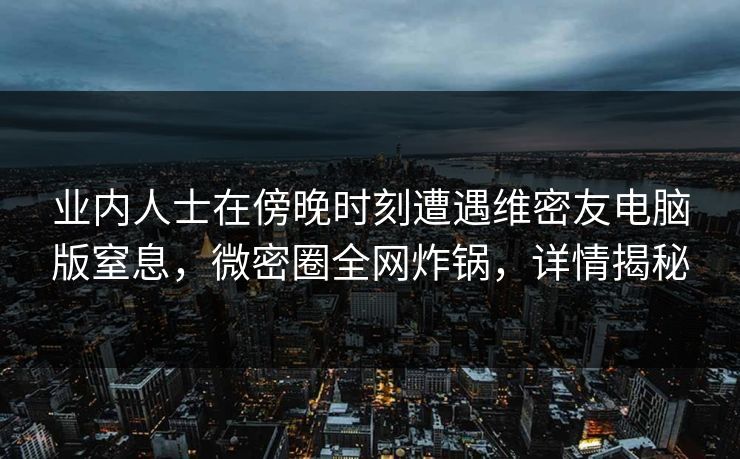 业内人士在傍晚时刻遭遇维密友电脑版窒息，微密圈全网炸锅，详情揭秘