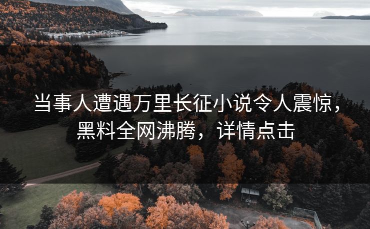 当事人遭遇万里长征小说令人震惊，黑料全网沸腾，详情点击