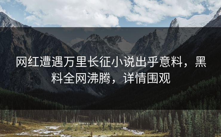 网红遭遇万里长征小说出乎意料，黑料全网沸腾，详情围观
